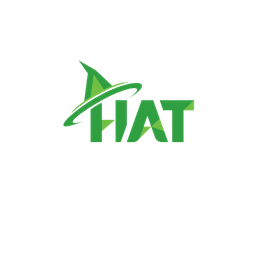 hat-solution